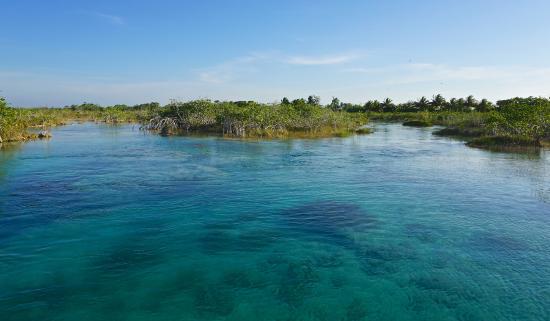 Lago Bacalar